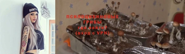 соль ск Белоозёрский
