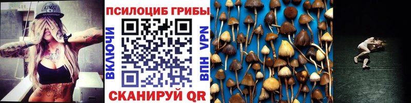 Галлюциногенные грибы ЛСД  Кольчугино 
